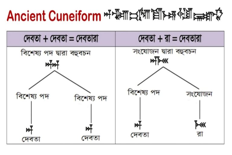 WhatsApp Image 2025-09-14 at 4.12.38 AM (1)
